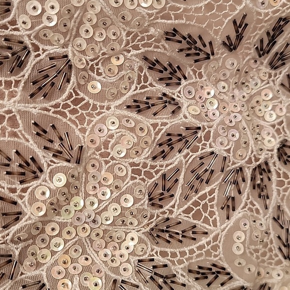 Vintage Beaded and Sequin Shawl / Collar - Picture 2 of 10